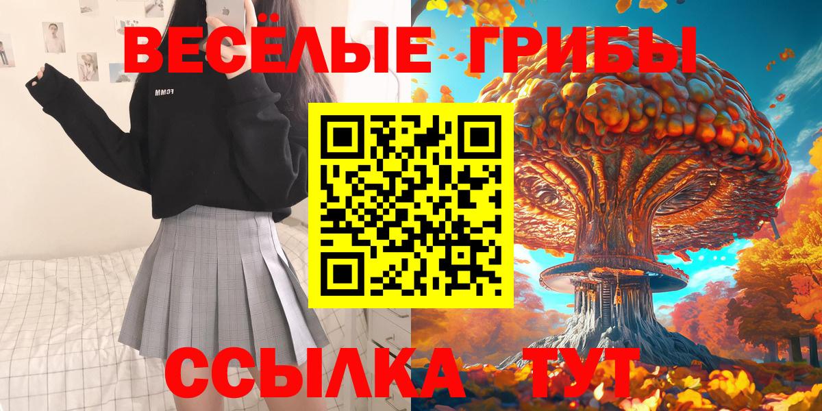 Протвино  Галлюциногенные грибы Psilocybe  Вход с VPN 